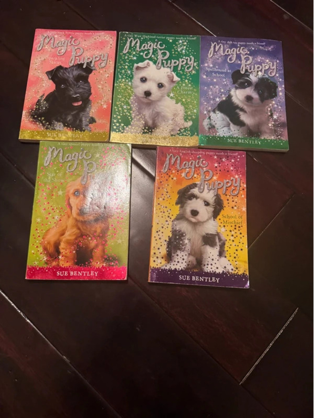 5 Magic Puppy Books